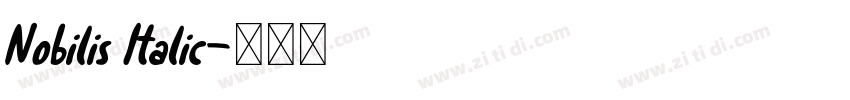 Nobilis Italic字体转换